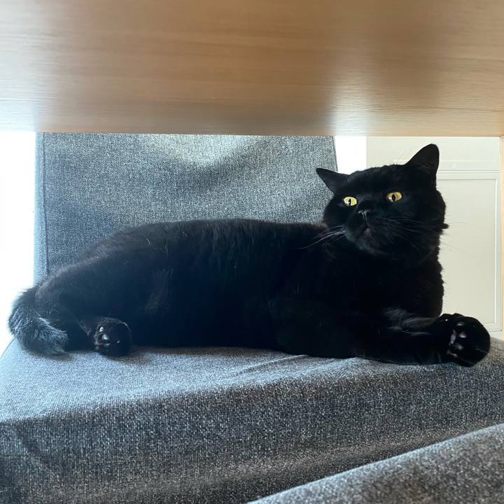 14b3826b a91f 43a0 b38d f7af799a3cde 1748846630497