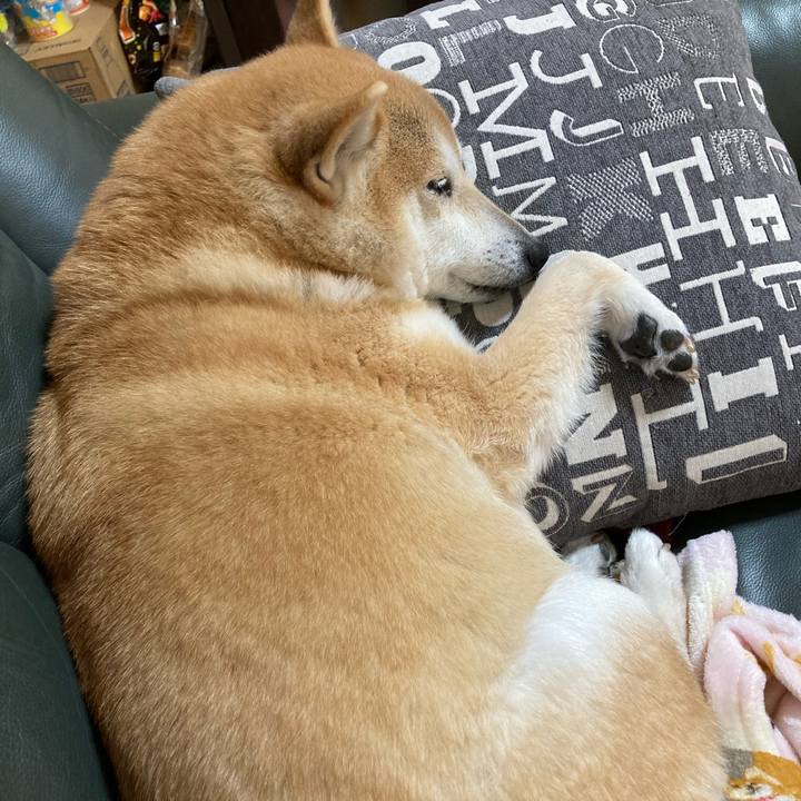 14b3a026 a56a 49c2 a686 2eaa7fd8ca07 1618452171845