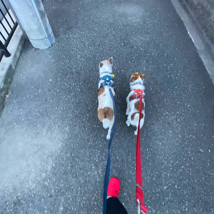 14b3a63e c87f 4358 878a 085aab5251da 1671924533734