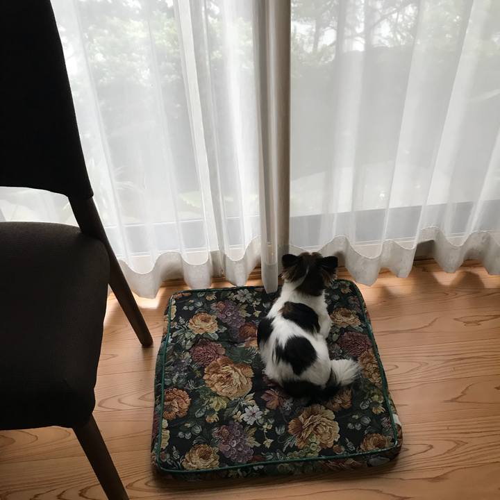 14b3aec3 1c03 42a8 827c 4237ad4a3f80 1537842655319