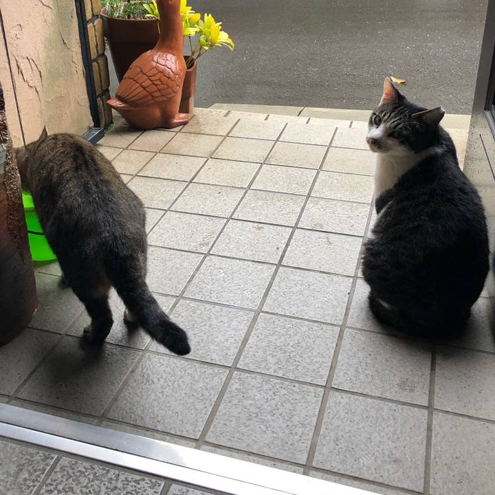 14b3b297 ab94 447f 8467 4c37f342d1d5 1532780296973