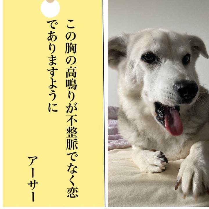 14b3b5d1 d0d0 4f98 b934 f48831e015b2 1688703248490