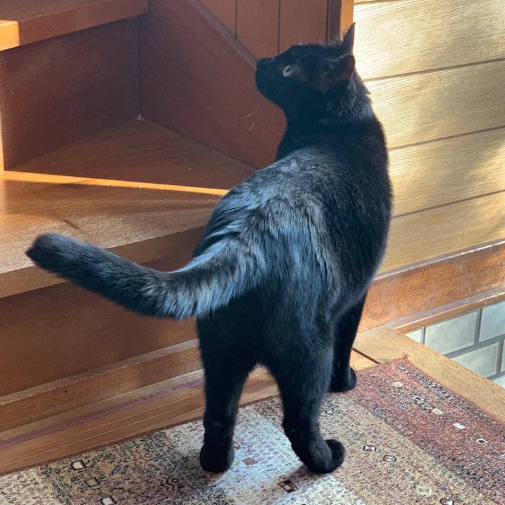 14b3f191 f006 4563 bf47 894eee5e3c40 1583111335016