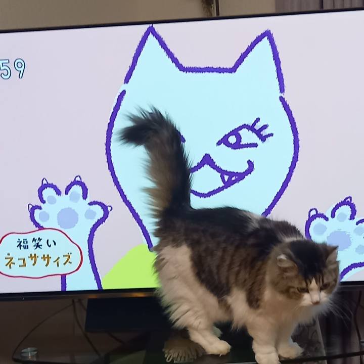 14b47bad 67e9 4816 90d5 1ef12892f570 1674075681836