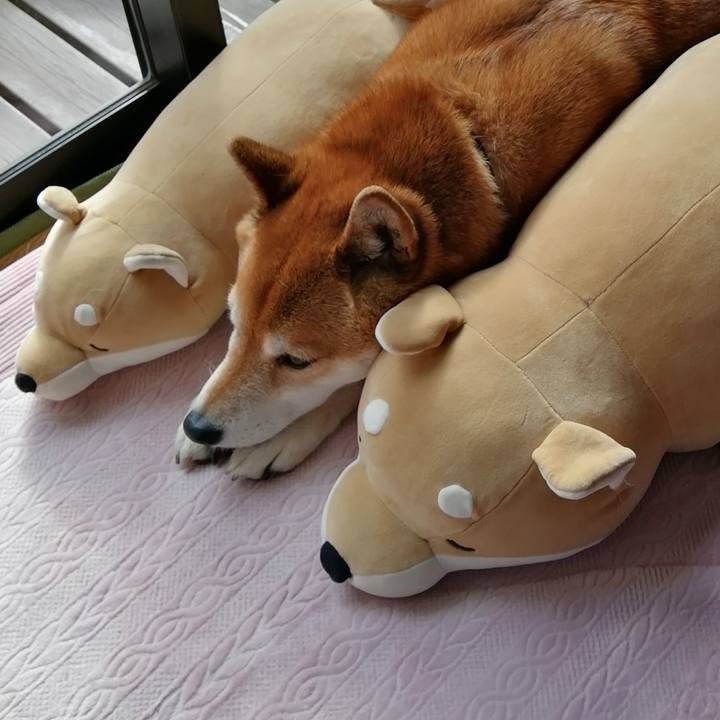 14b49e6b 953b 4d9c 814d 2fbe2840671c 1676696913698