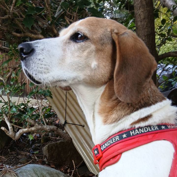 14b4aebf 4a6d 48c8 a95c fe3667ff734a 1762251660689