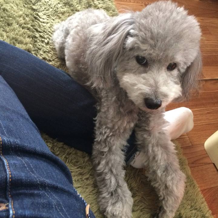 14b4b2e4 6197 4475 8b7b a354e2a69617 1771245517334