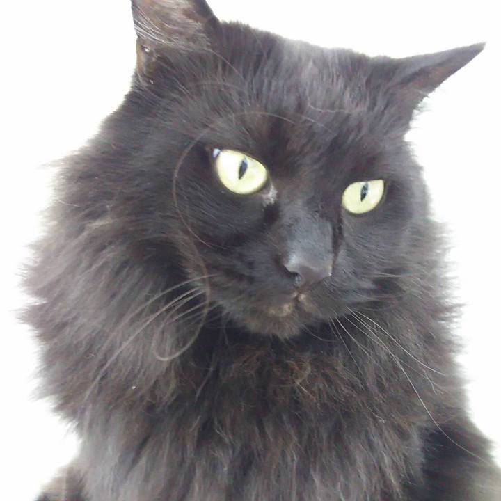 14b4c3f9 fe1a 4d99 9f48 f57f9d0ac02c 1547284652929