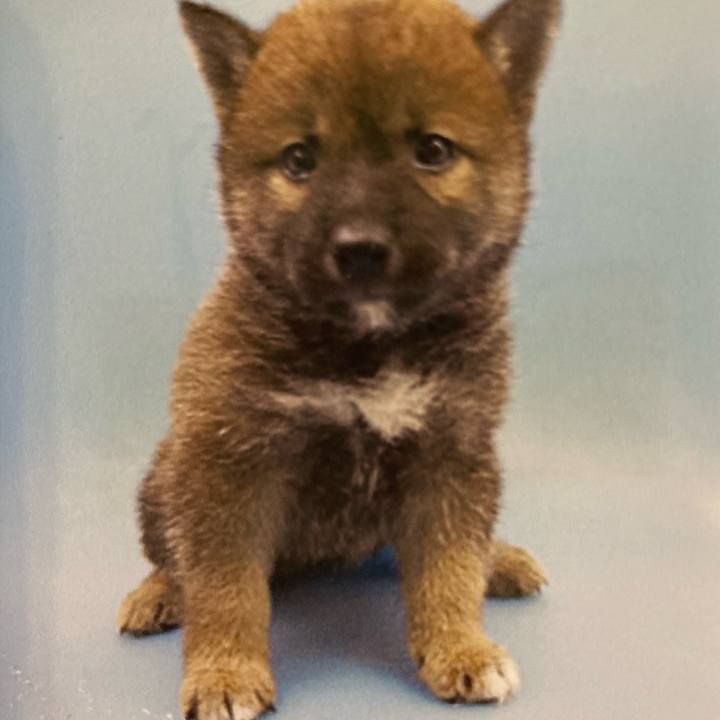 14b4de54 04c0 41c3 8b47 3702cd1536a1 1773792200573