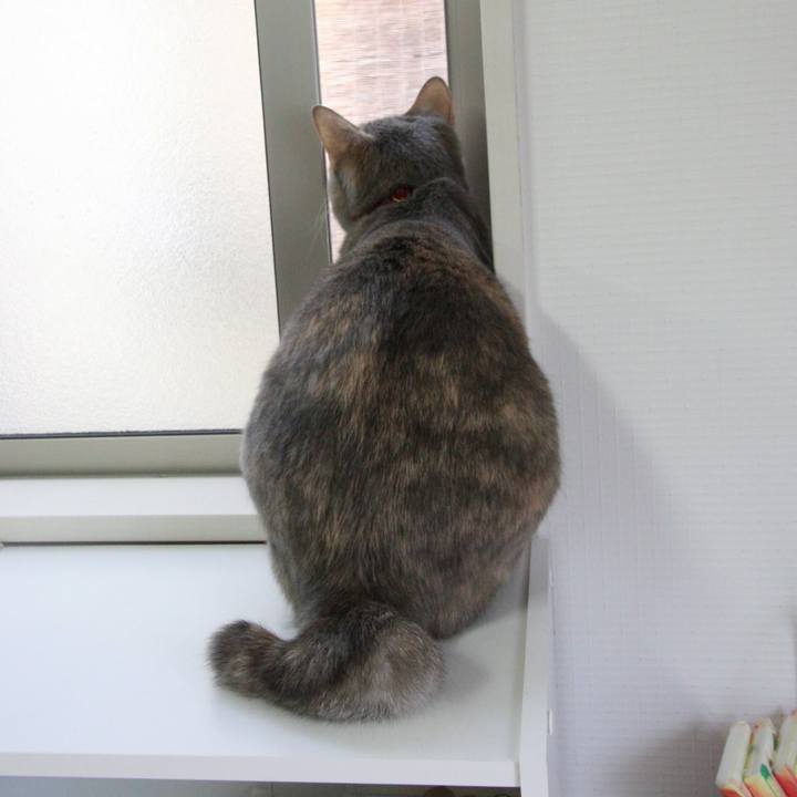 14b5065e 0322 467e a699 b41d1c27fd97 1523238362903