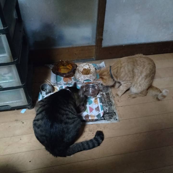 14b508a8 ae17 41bd b6bb 18be7a0e413d 1668549575763