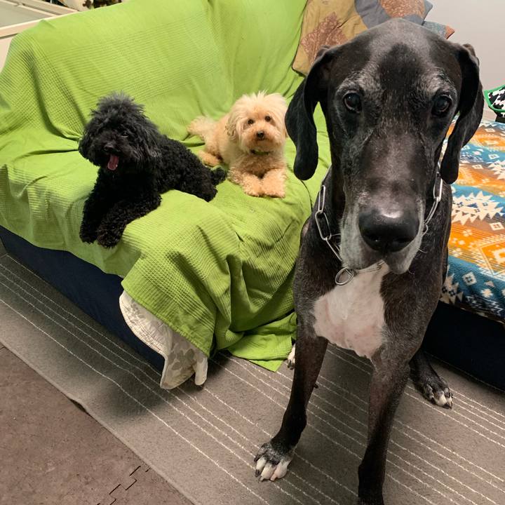 14b52ab0 8e87 46ea 9609 ee5867b9a8a9 1569968798750