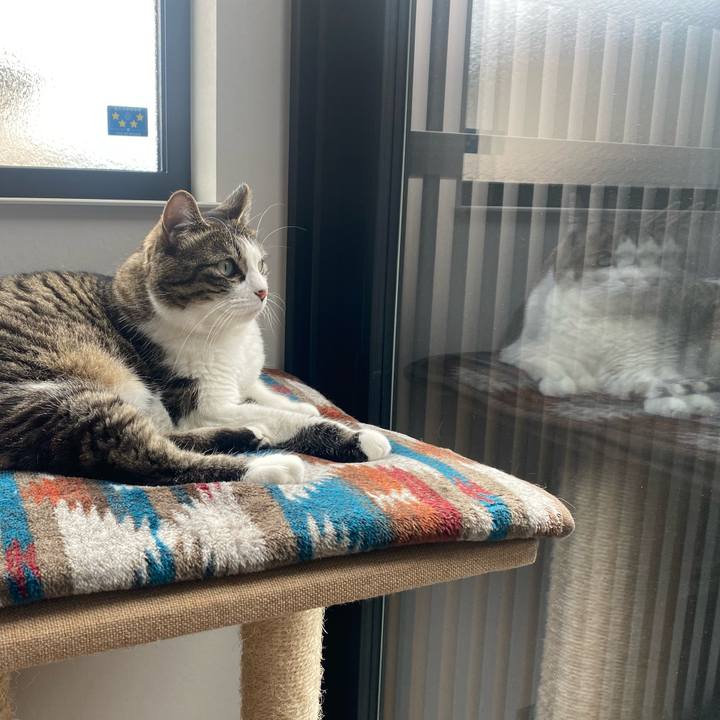 14b569e7 0d9a 4f41 828f 988c0c70cdf5 1715238641014