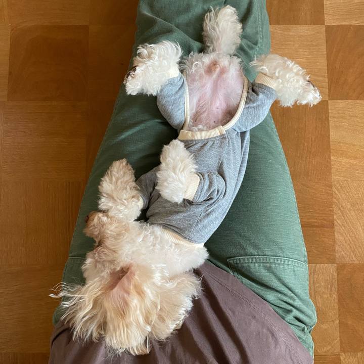 14b57bf8 8d1e 4268 bfc3 9ae273e4d342 1628985018582