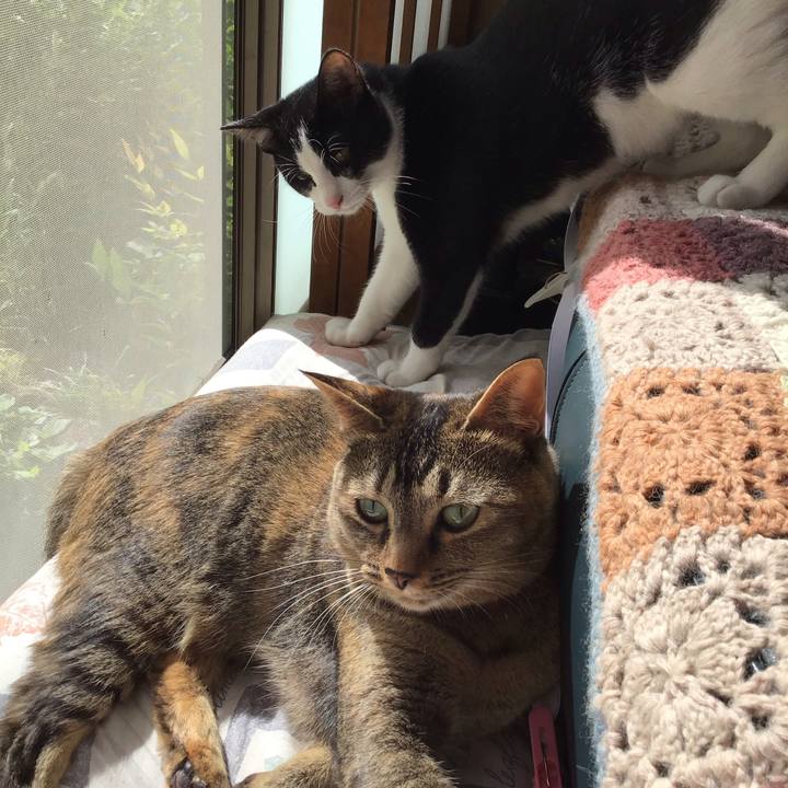 14b5b714 7b1f 4678 b1e2 638596cb25af 1630986493892