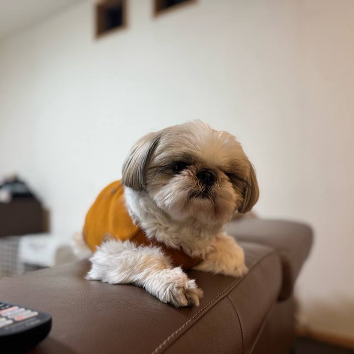 14b5bde8 aeb9 457d a9b8 020087418448 1738760175495