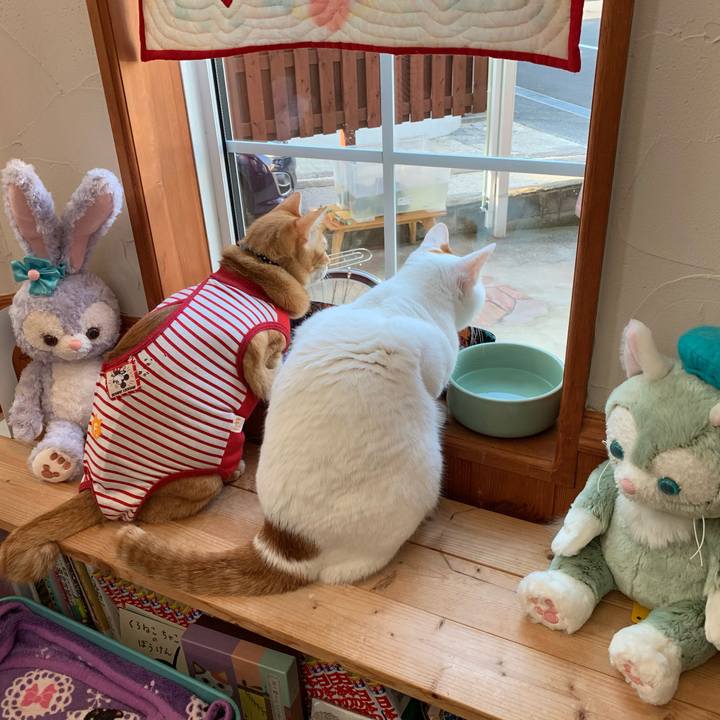 14b5c20e 35d2 4252 a956 f7c97f2ba5d1 1588025585866