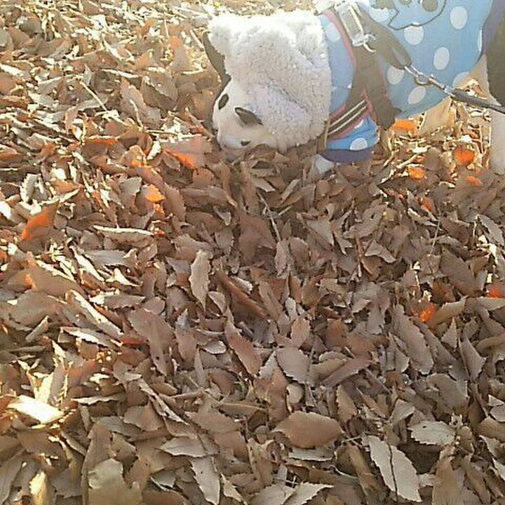 14b5d2f7 8a21 4c36 b84d 463079db5f7d 1515322172580