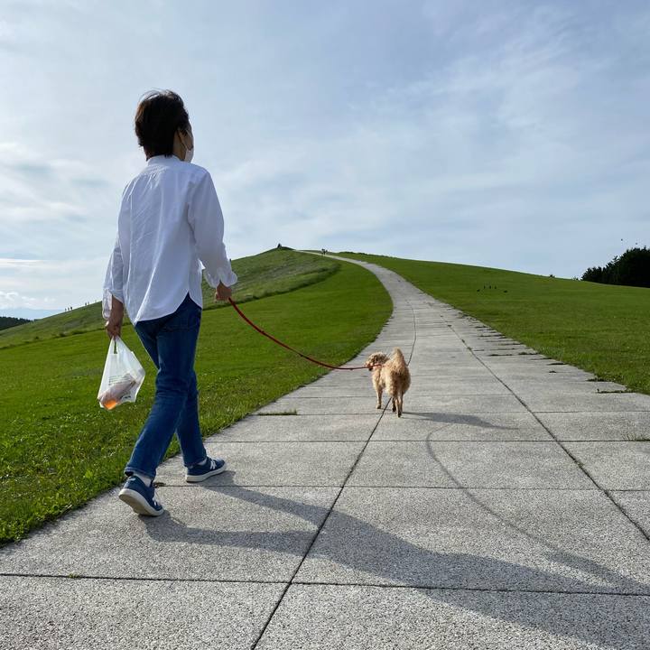 14b5ee5c 312d 4f03 be03 88b7c34c67ce 1664093708548