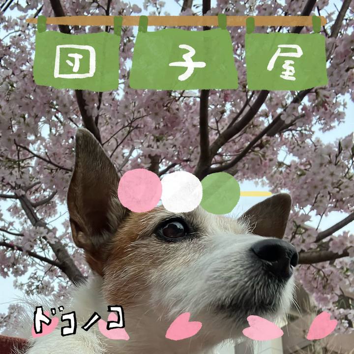 14b60938 21a8 4635 b61b 0a98ba529953 1712449952417