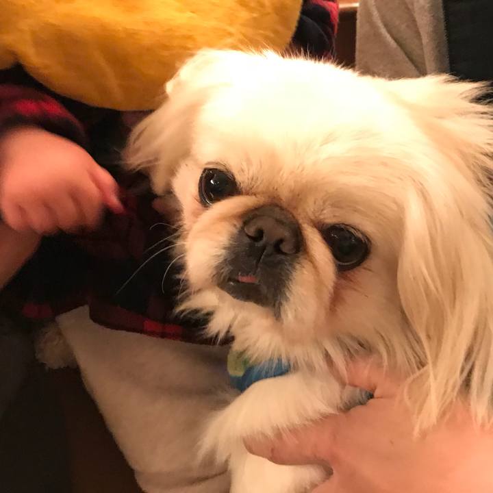 14b64e67 810a 4acc 9b1c 72ab1a297c02 1512830691211