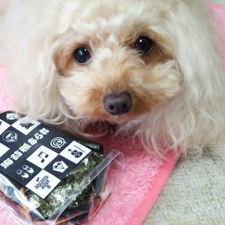 14b67c00 d54b 4de5 b89c f1c0bbf03215 1516967154149