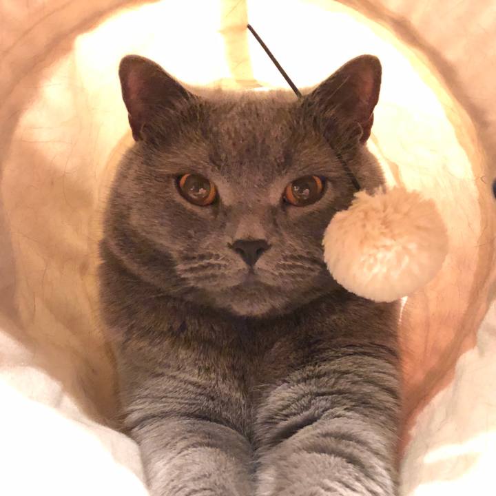 14b67e46 2f1f 4db8 8f13 b794e21bcce7 1513086445768