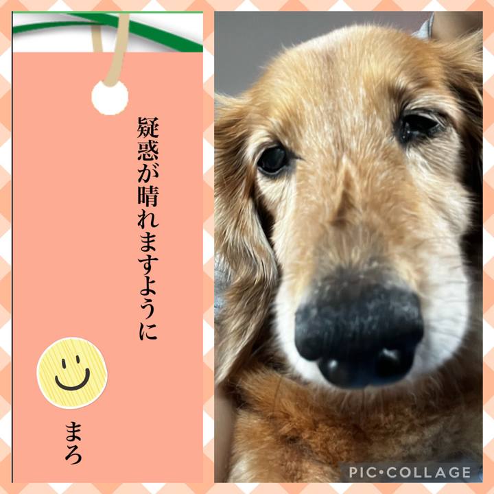 14b69c3f 1d9f 4e98 988b e40b435dd541 1657199088767