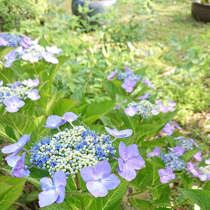 14b6aa07 d023 4c35 959b 92f8e4f55f70 1654746763859