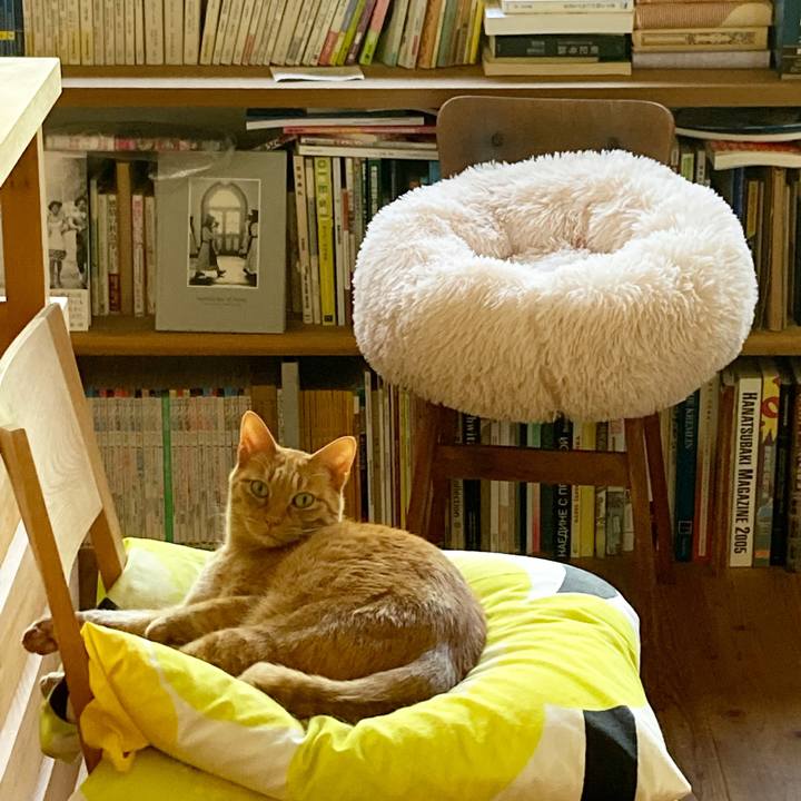 14b6bf8e 4901 4a8c ae09 9b8bde6ddd05 1655382771563