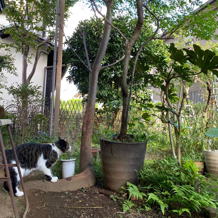 14b6dff5 fb97 405e 8479 73c5ca17e70f 1601214445971