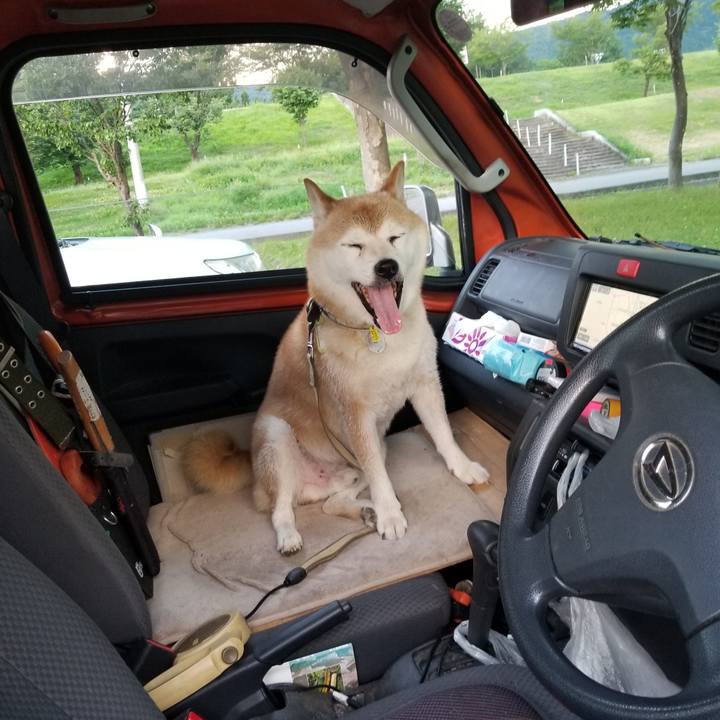 14b71460 8da1 412a ba42 4ea6cb24bbde 1659259187738