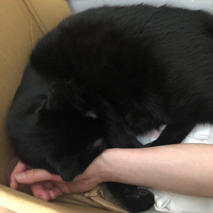 14b777fd fd4d 4411 8444 a68495b2c8cd 1557556655765