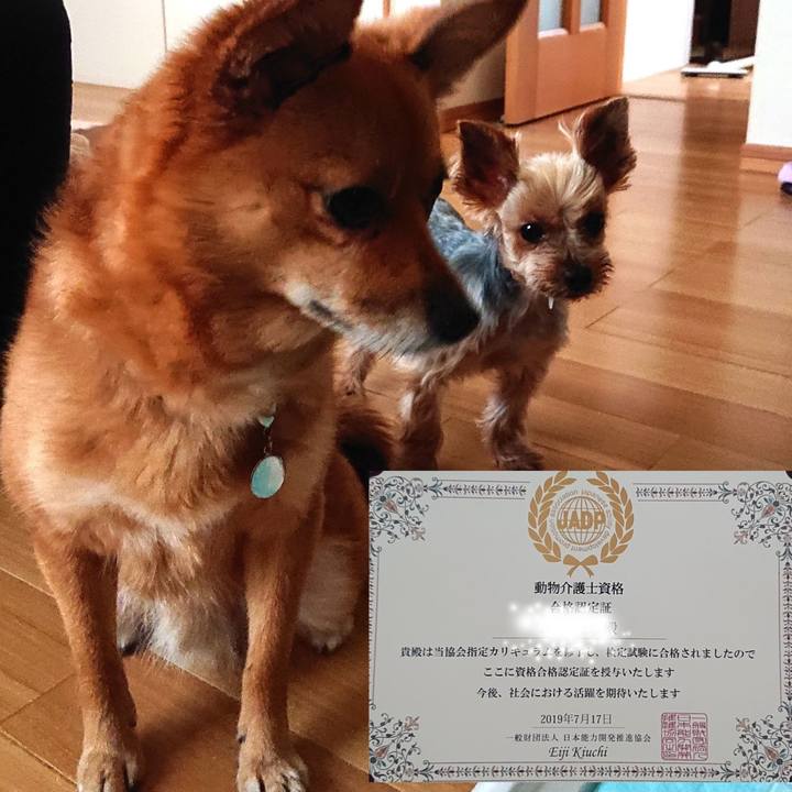 14b78bb4 7842 4bf0 b4a7 c7fdd8866f8c 1563680405816