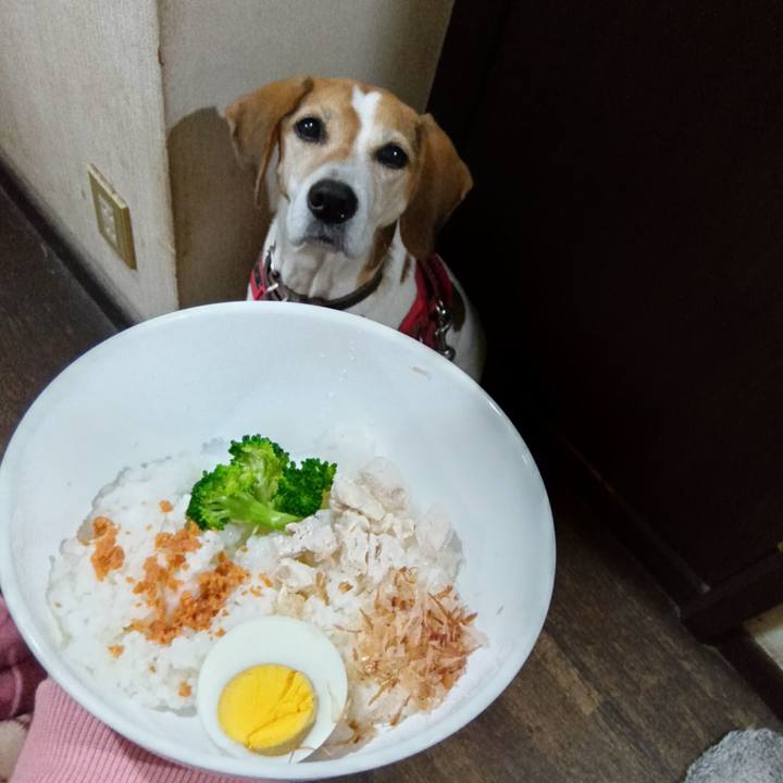 14b7d285 5fa6 4b9d 882e ddb78ac73ad6 1730894495170