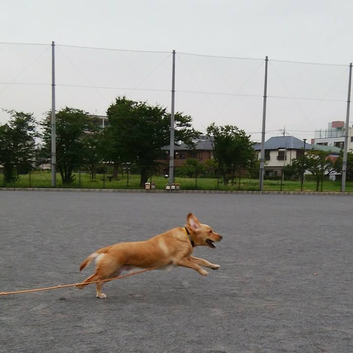 14b7e86f 2085 4a64 a349 b755d1e5b6e3 1535508719062