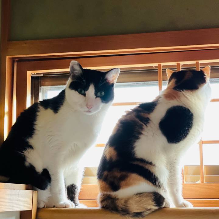 14b834ba 99b4 45ef ac42 283a98f3dcff 1639622680772