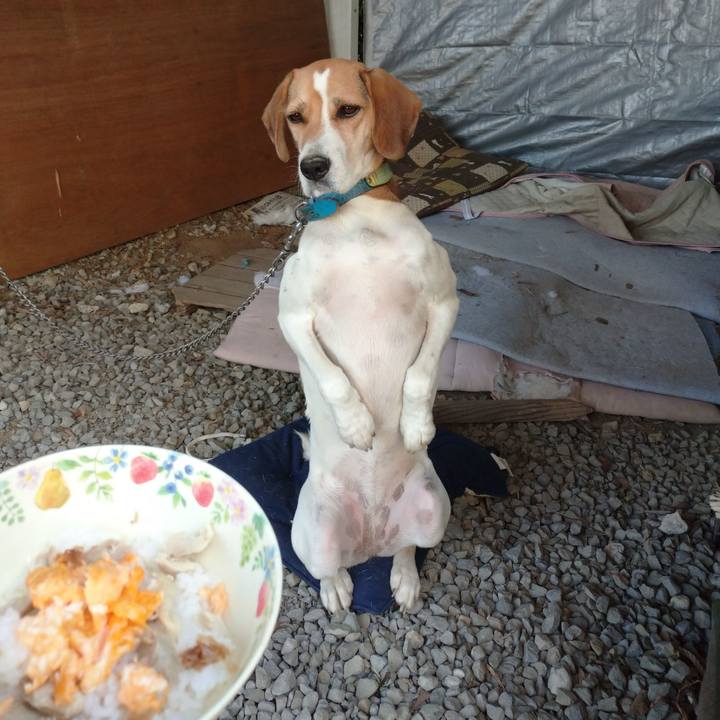 14b848ba 5acd 4367 b30b 70616474a614 1604113296179