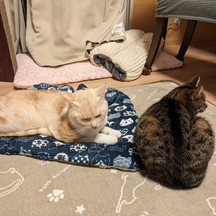 14b87a6b ed5c 4dc2 a8aa 36b8243b1bd2 1696686775505