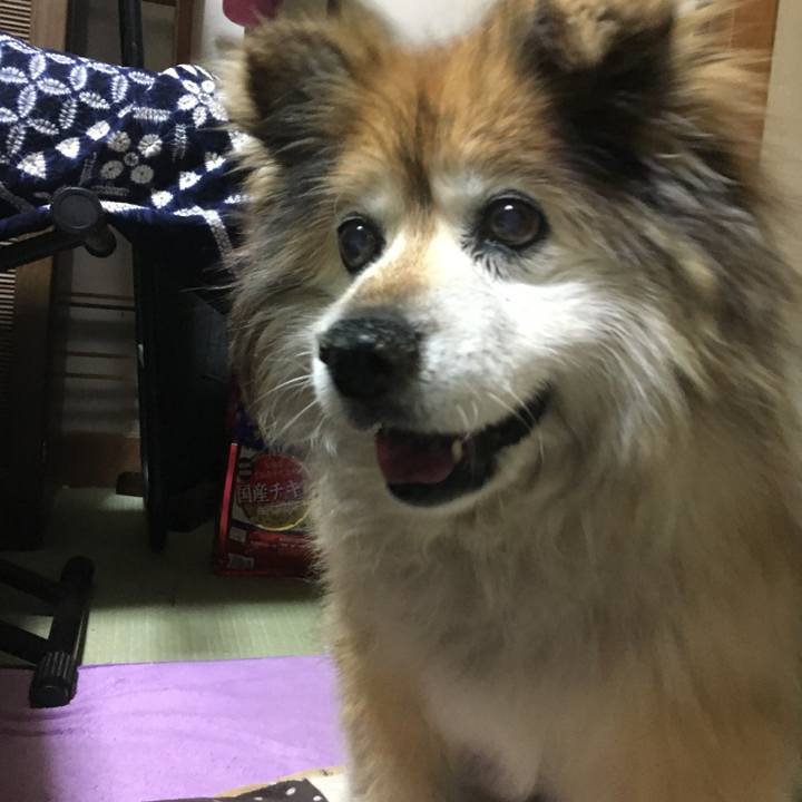 14b8a1cd 056a 4391 8617 6ae9b26e0864 1608009001501