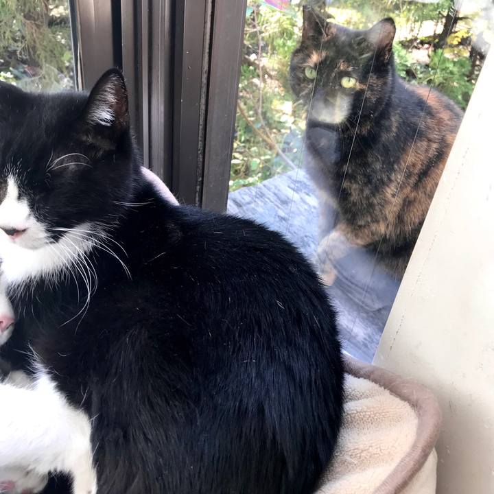 14b8a504 63be 41cf 9218 0fbd5f61c44a 1576312902436