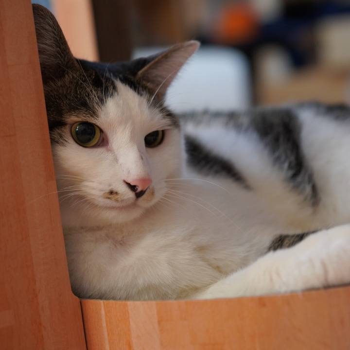 14b8b1f1 ca54 4667 a83f e88dcd629751 1632264955076