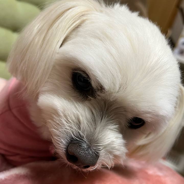 14b8c377 291a 4c2a 9e89 457855e99c41 1672030954476