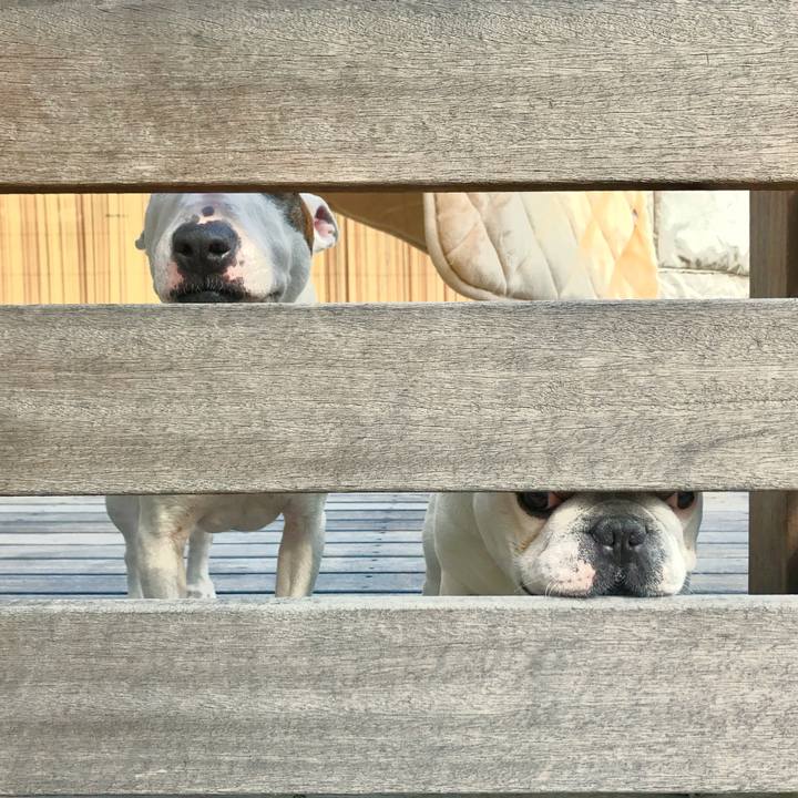 14b8cf8d e8af 461b 869d 2cd62cb8c4f1 1509761378010