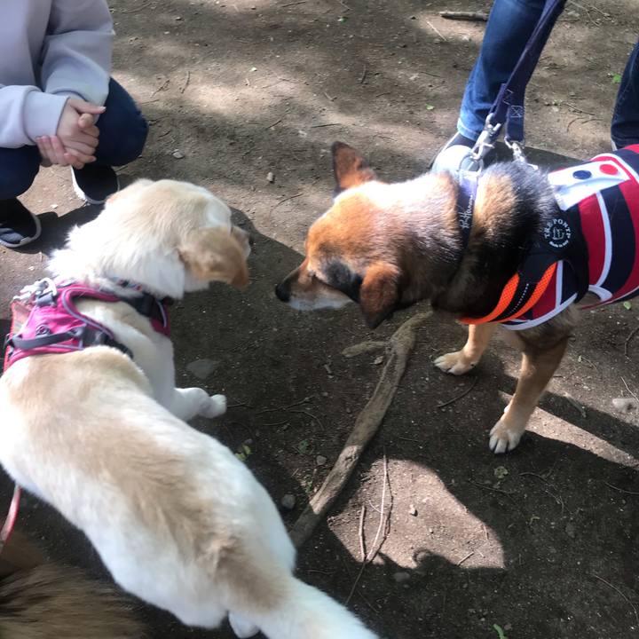 14b8efac 30f4 4a7c 910f 5d747e646c25 1618751630195