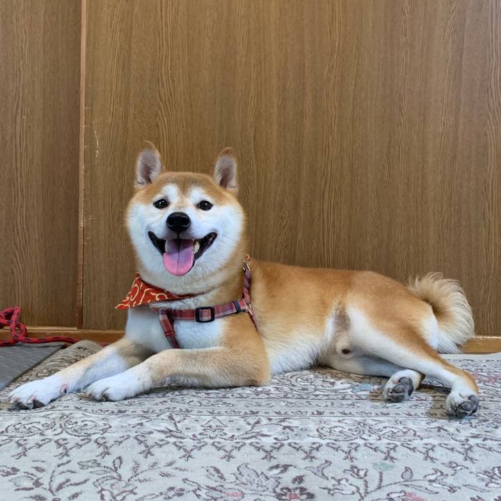 14b8f773 7109 4497 afcf bc40dc49ac27 1569921154436