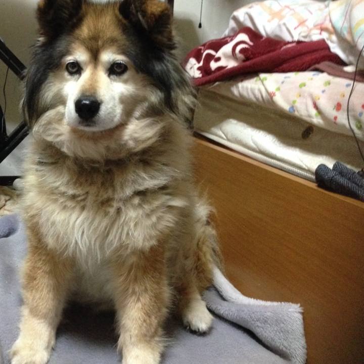 14b8fd85 e3e9 4a4e 9eb8 fd6cef5c5777 1649235101985