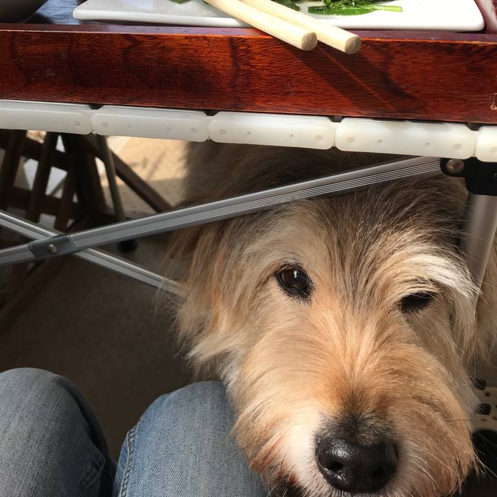 14b91c7f 2dcc 4ce5 8979 b4467ff2c62b 1649640819466