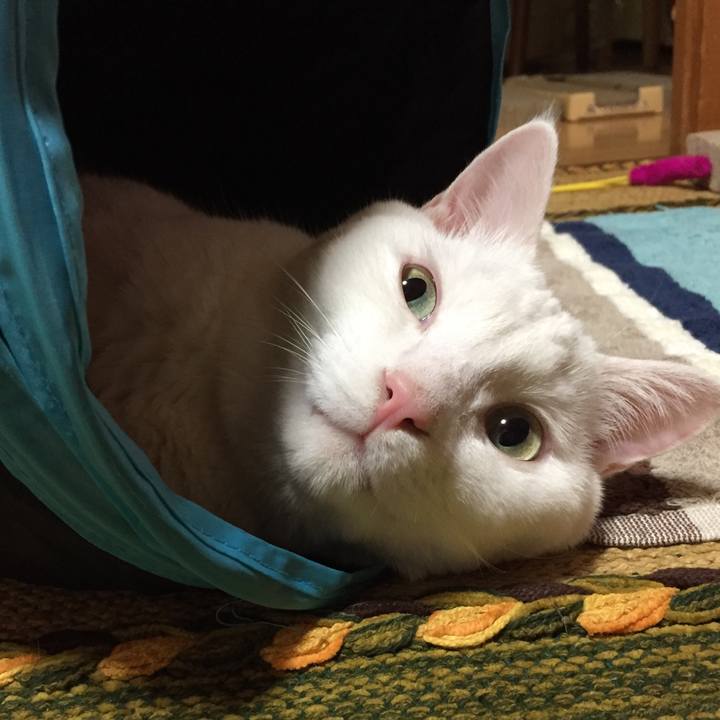 14b92972 d845 45a8 925e 9af4a8c8b382 1511192406096