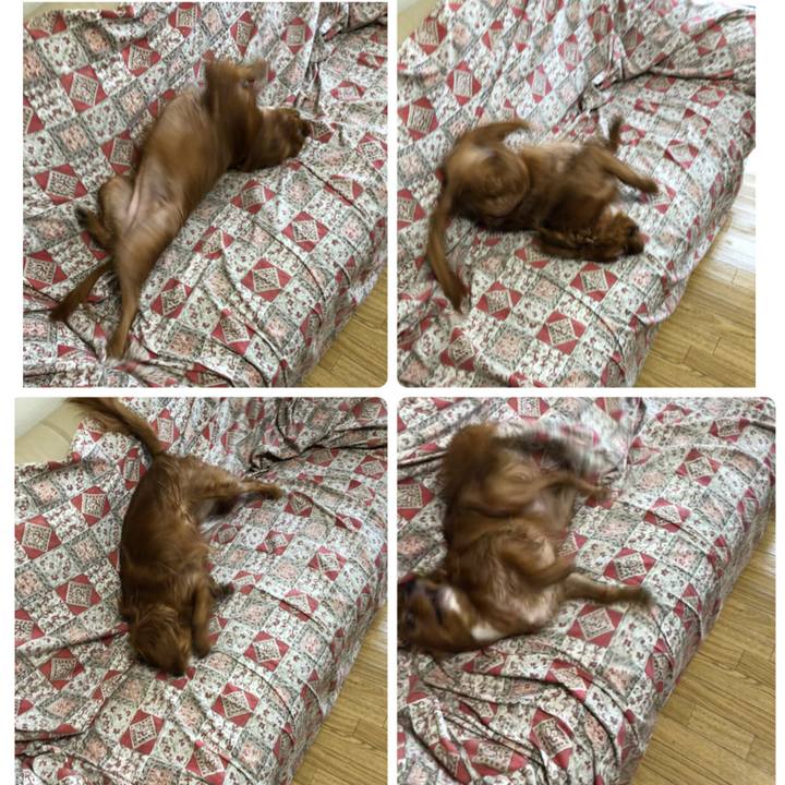 14b9449f 8ac8 418a ae4d d154bf1b566a 1536448410989